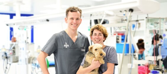 Kathrin Harmuth und Dr. Nicolai Wolfgang